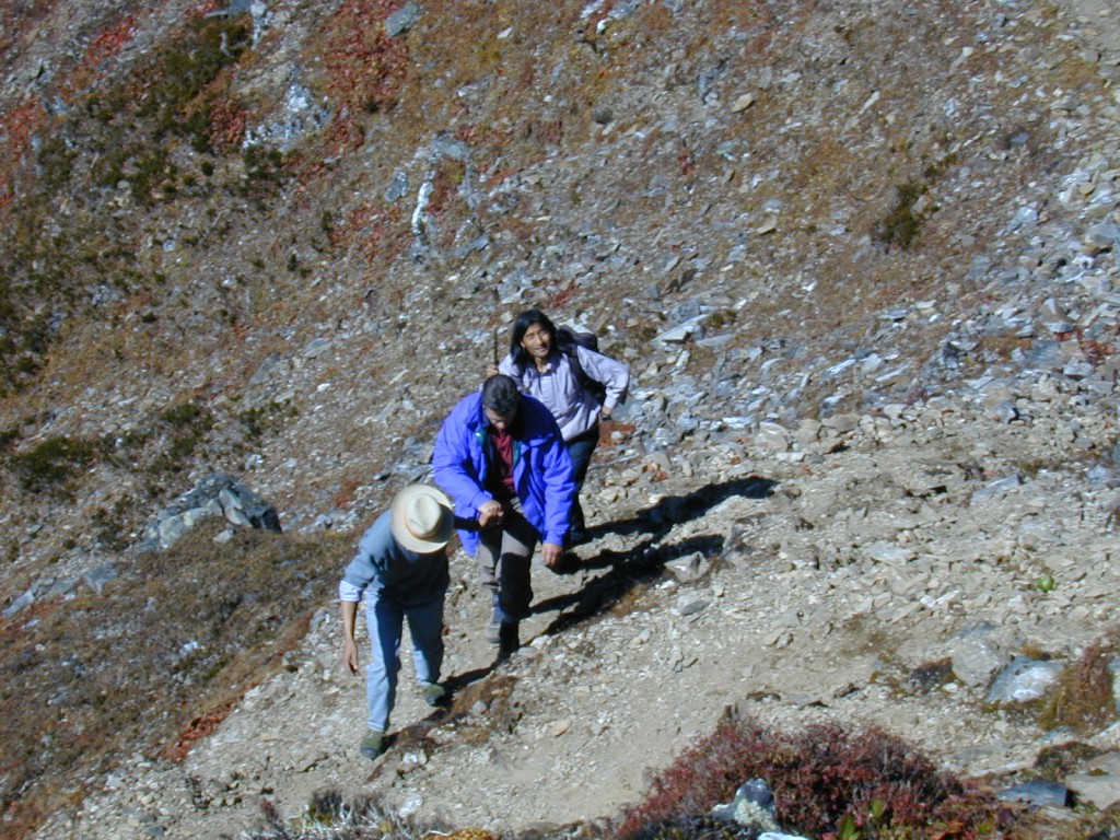 Wedding Hike