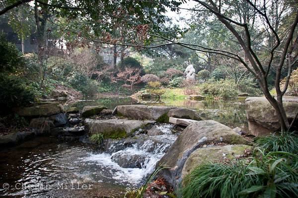 Impressions of Longjing on a Winter’s Day