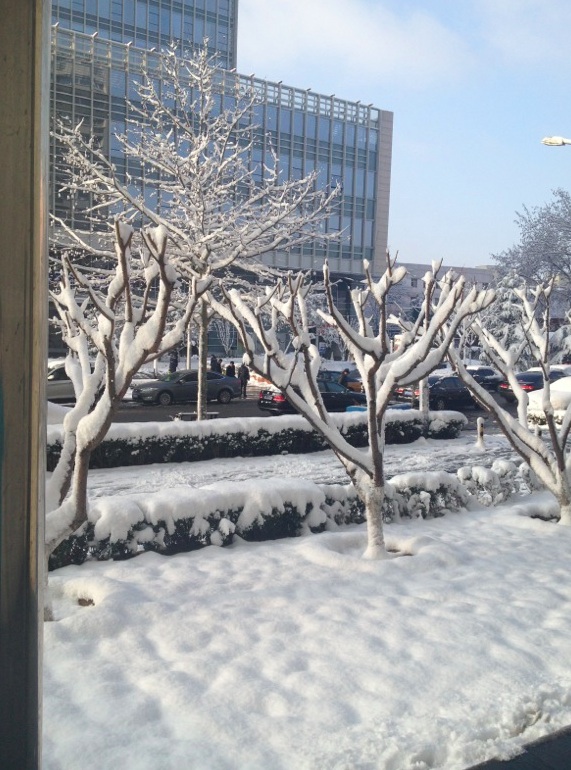 A Surprise Snowfall in Beijing