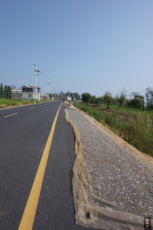 Tour Erhai Lake by Bicycle