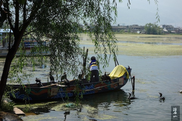 Tour Erhai Lake by Bicycle