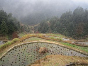 Guizhou: an Unexpected Discovery