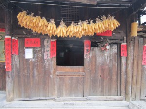 Guizhou: an Unexpected Discovery