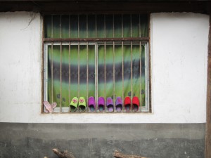 Guizhou: an Unexpected Discovery