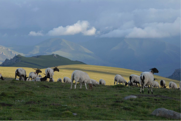 Unexpected Luxury in the Gansu Wilderness