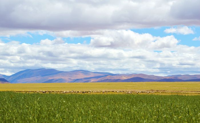 What To Do About Altitude Sickness In Tibet