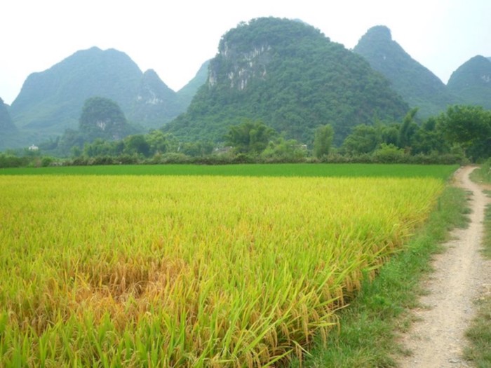 Yangshuo: Top 7 Things to See & Do