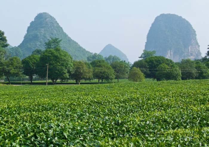 Guilin: Adventure Family Vacations in China